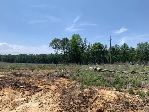 . Shelton Weeks Road, Pattison, MS 39144 photo 8