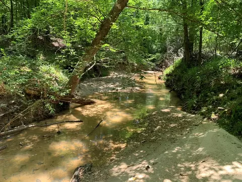 . Shelton Weeks Road, Pattison, MS 39144 photo 16