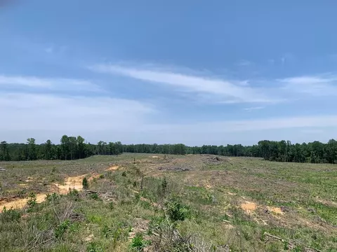 . Shelton Weeks Road, Pattison, MS 39144 photo 12