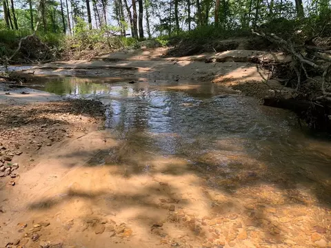 . Shelton Weeks Road, Pattison, MS 39144