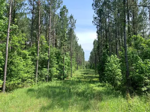 . Athens Trail Ne/ Timberlane Rd Ne, Wesson, MS 39191