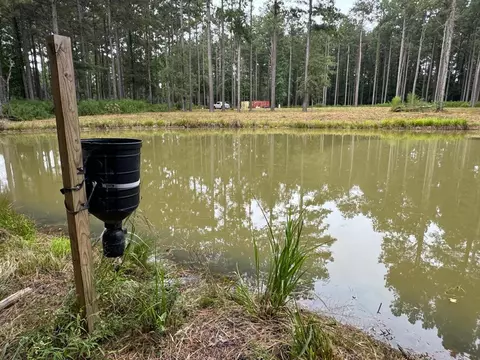 7060 Fernwood Rd, Magnolia, MS 39652