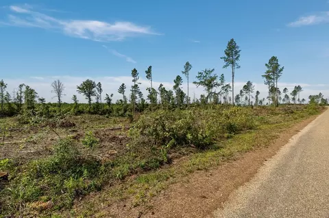 07 Lucas Hollow Rd, Mount Olive, MS 39119 photo 4