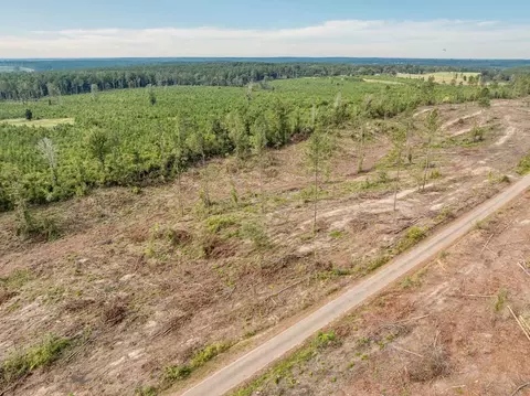 07 Lucas Hollow Rd, Mount Olive, MS 39119 photo 5