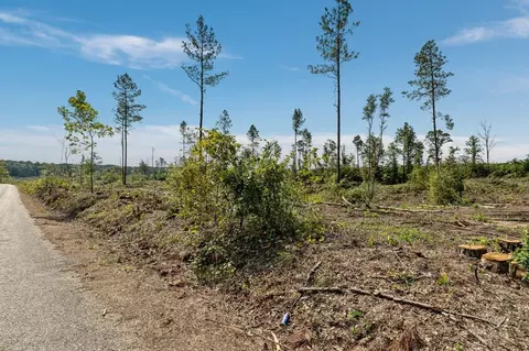 07 Lucas Hollow Rd, Mount Olive, MS 39119 photo 3
