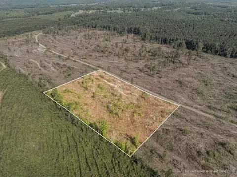 07 Lucas Hollow Rd, Mount Olive, MS 39119 photo 2