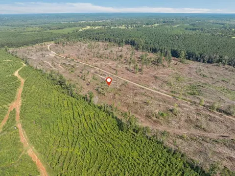 07 Lucas Hollow Rd, Mount Olive, MS 39119 photo 7