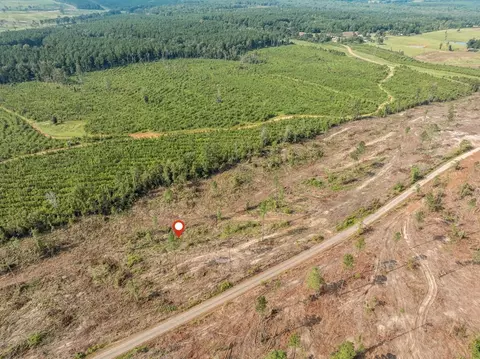 07 Lucas Hollow Rd, Mount Olive, MS 39119 photo 6
