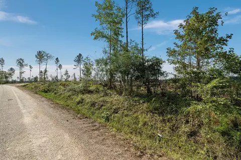 09 Lucas Hollow Rd, Mount Olive, MS 39119 photo 4