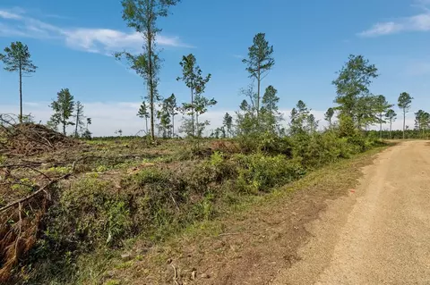 09 Lucas Hollow Rd, Mount Olive, MS 39119 photo 3