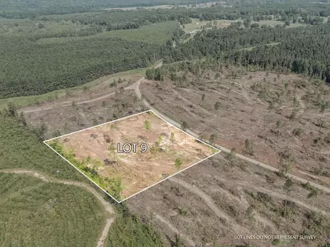 09 Lucas Hollow Rd, Mount Olive, MS 39119