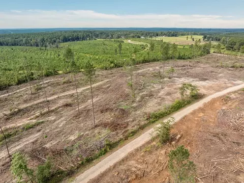 09 Lucas Hollow Rd, Mount Olive, MS 39119 photo 5