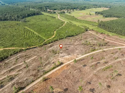 09 Lucas Hollow Rd, Mount Olive, MS 39119 photo 6