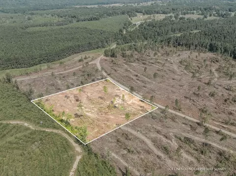 09 Lucas Hollow Rd, Mount Olive, MS 39119 photo 2