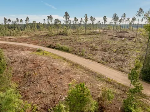 10 Lucas Hollow Rd, Mount Olive, MS 39119 photo 6