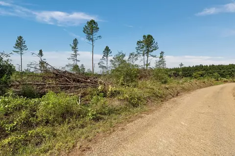 10 Lucas Hollow Rd, Mount Olive, MS 39119 photo 4