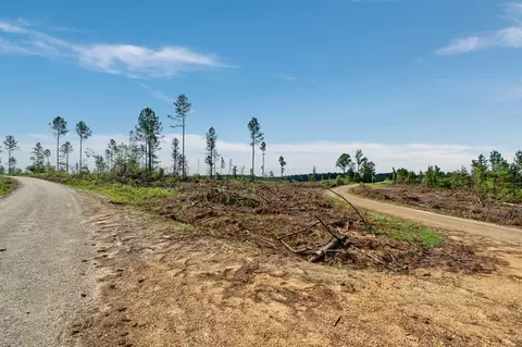 10 Lucas Hollow Rd, Mount Olive, MS 39119 photo 3
