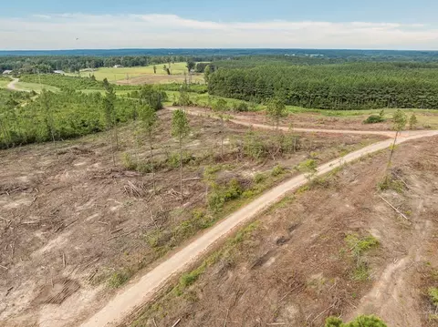 10 Lucas Hollow Rd, Mount Olive, MS 39119 photo 7