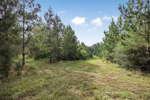3915 Winding Rd, Liberty, MS 39645 photo 9