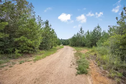 3915 Winding Rd, Liberty, MS 39645 photo 18