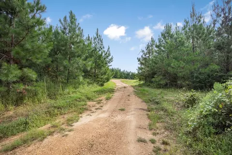 3915 Winding Rd, Liberty, MS 39645 photo 22