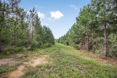 3915 Winding Rd, Liberty, MS 39645 photo 8