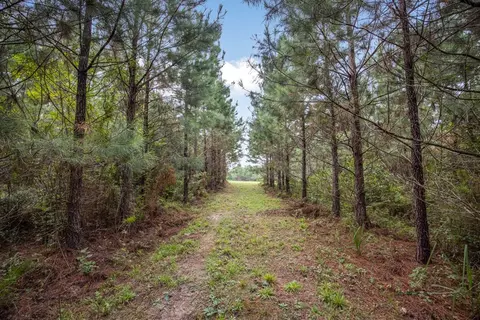 3915 Winding Rd, Liberty, MS 39645 photo 19
