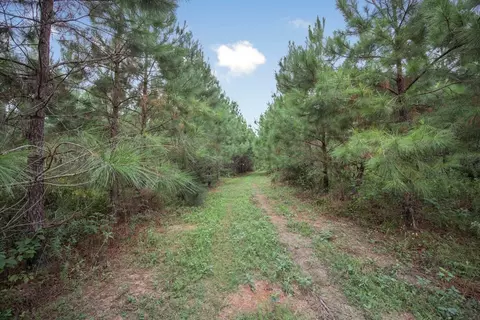 3915 Winding Rd, Liberty, MS 39645 photo 11