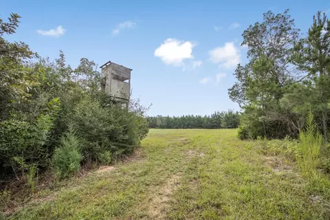 3915 Winding Rd, Liberty, MS 39645 photo 5