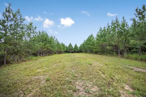 3915 Winding Rd, Liberty, MS 39645 photo 21