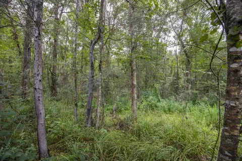3915 Winding Rd, Liberty, MS 39645 photo 10