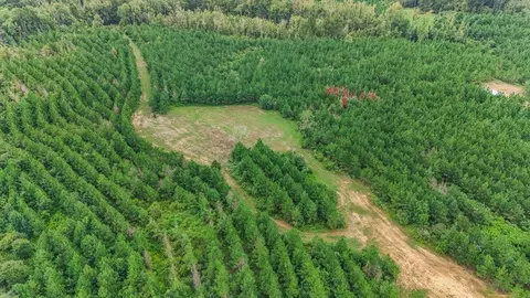 3915 Winding Rd, Liberty, MS 39645
