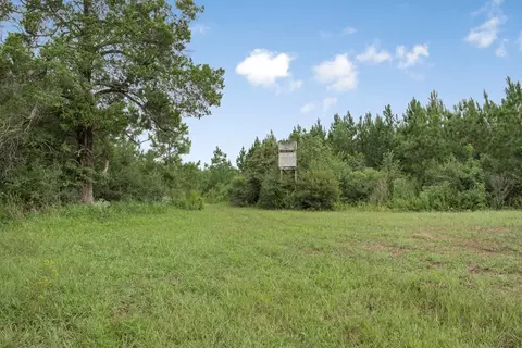 3915 Winding Rd, Liberty, MS 39645 photo 7