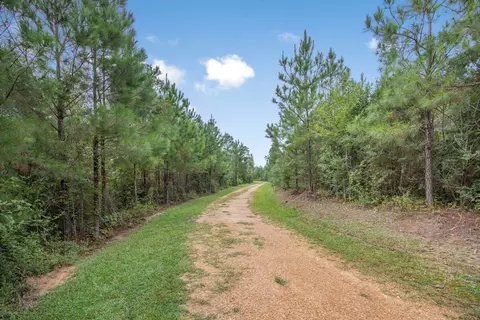 3915 Winding Rd, Liberty, MS 39645 photo 23