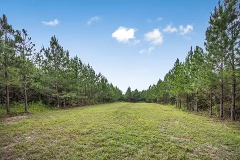 3915 Winding Rd, Liberty, MS 39645 photo 20