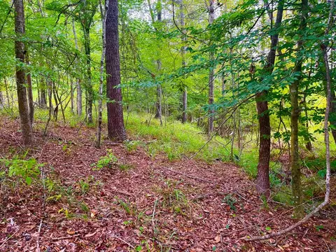 510 Elbert Ln NE, Brookhaven, MS 39601 photo 8