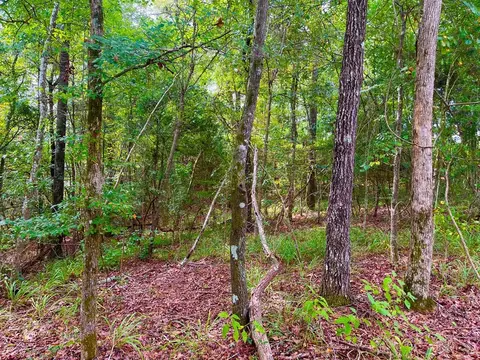510 Elbert Ln NE, Brookhaven, MS 39601 photo 12