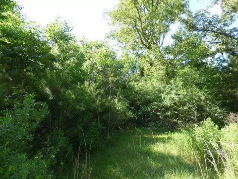 1973 Brumfield Rd SW, Summit, MS 39666 photo 2