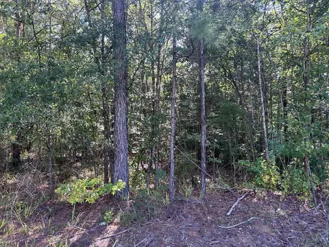 lot2 Mallard Trl, Summit, MS 39652