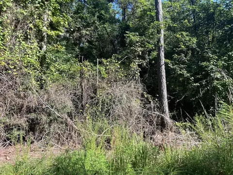 lot7 Mallard Trl, Summit, MS 39652