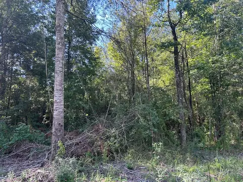 lot10 B Mallard Trl, Summit, MS 39652