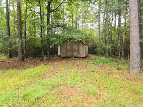 6099 Branch Rd, Smithdale, MS 39664 photo 14