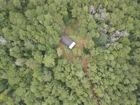 6099 Branch Rd, Smithdale, MS 39664 photo 22