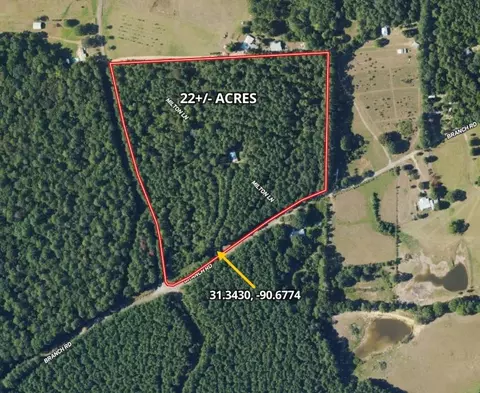 6099 Branch Rd, Smithdale, MS 39664 photo 24