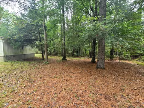 6099 Branch Rd, Smithdale, MS 39664 photo 17