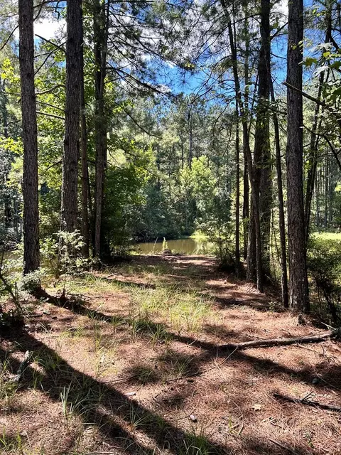 6316 Adams Rd, Smithdale, MS 39664 photo 21