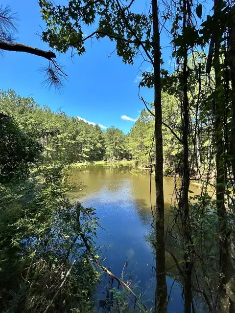 6316 Adams Rd, Smithdale, MS 39664