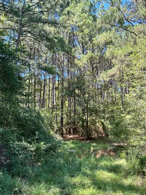 6316 Adams Rd, Smithdale, MS 39664 photo 23