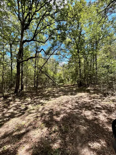6316 Adams Rd, Smithdale, MS 39664 photo 13