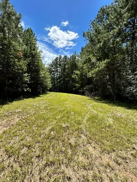 6316 Adams Rd, Smithdale, MS 39664 photo 5